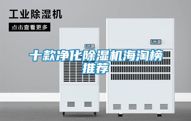 十款净化猫咪成人官网海淘榜推荐