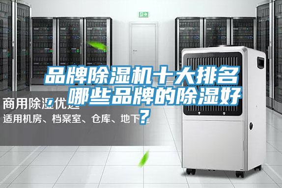 品牌猫咪成人官网十大排名，哪些品牌的除湿好？