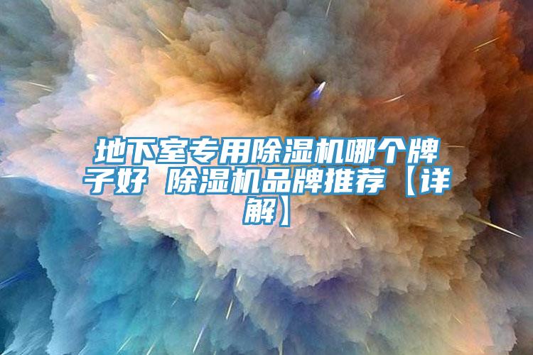 地下室专用猫咪成人官网哪个牌子好 猫咪成人官网品牌推荐【详解】