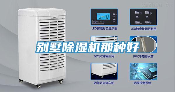 别墅猫咪成人官网那种好