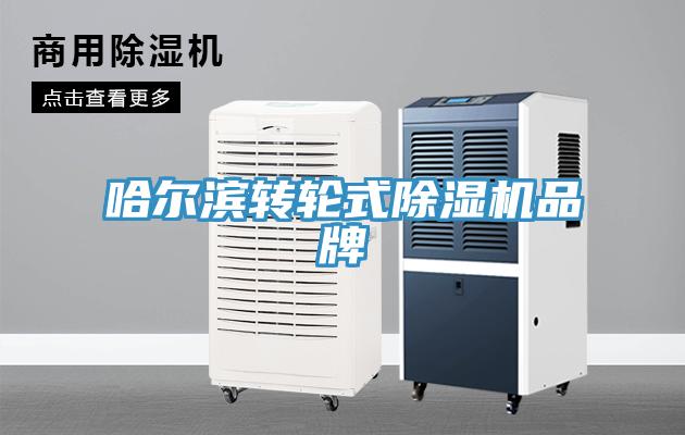 哈尔滨转轮式猫咪成人官网品牌