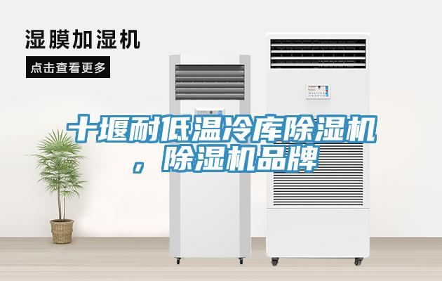 十堰耐低温冷库猫咪成人官网，猫咪成人官网品牌