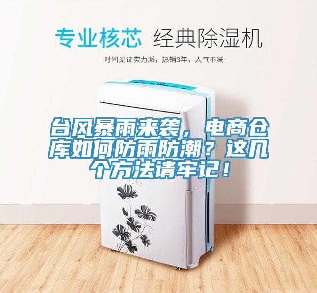 台风暴雨来袭，电商仓库如何防雨防潮？这几个方法请牢记！