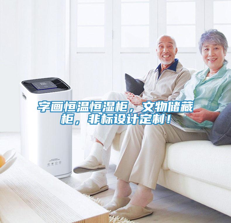 字画恒温恒湿柜，文物储藏柜，非标设计定制！