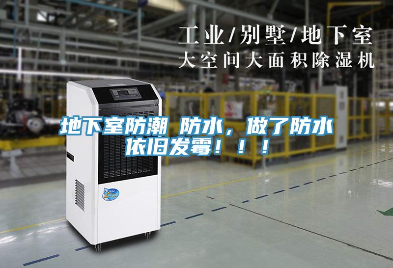 地下室防潮≠防水，做了防水依旧发霉！！！