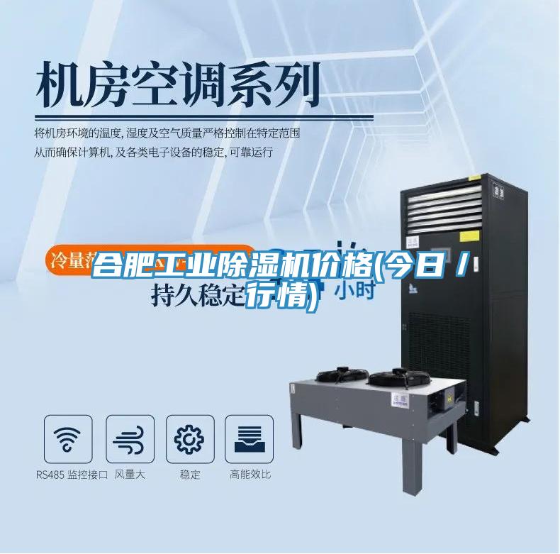 合肥工业猫咪成人官网价格(今日／行情)