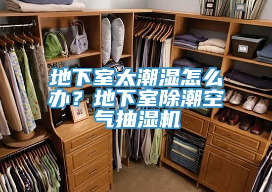 地下室太潮湿怎么办？地下室除潮空气抽湿机