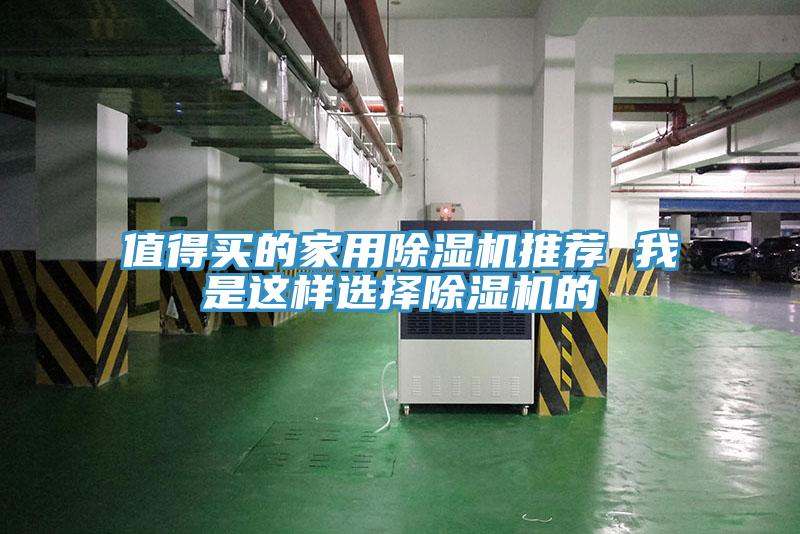 值得买的家用猫咪成人官网推荐 我是这样选择猫咪成人官网的