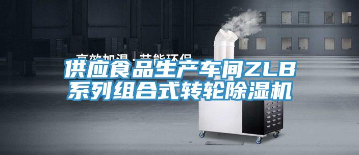 供应食品生产车间ZLB系列组合式转轮猫咪成人官网