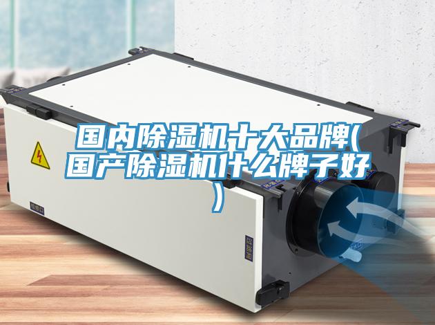 国内猫咪成人官网十大品牌(国产猫咪成人官网什么牌子好)