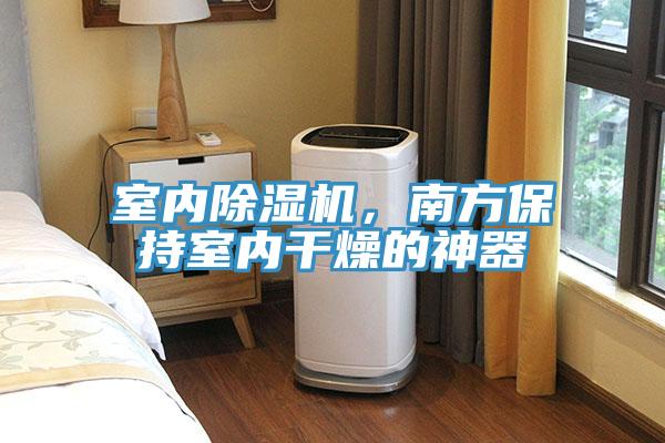 室内猫咪成人官网，南方保持室内干燥的神器