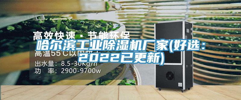 哈尔滨工业猫咪成人官网厂家(好选：2022已更新)