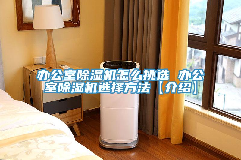 办公室猫咪成人官网怎么挑选 办公室猫咪成人官网选择方法【介绍】