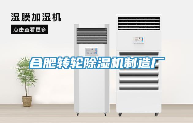 合肥转轮猫咪成人官网制造厂