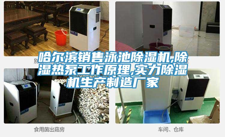 哈尔滨销售泳池猫咪成人官网,除湿热泵工作原理,实力猫咪成人官网生产制造厂家