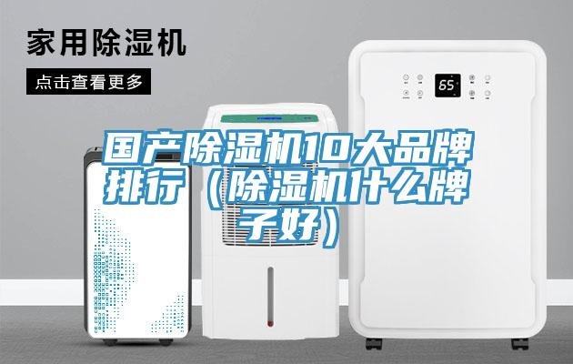 国产猫咪成人官网10大品牌排行（猫咪成人官网什么牌子好）