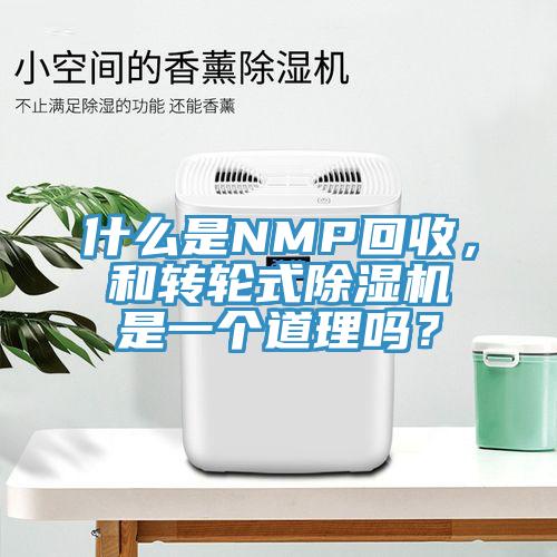 什么是NMP回收，和转轮式猫咪成人官网是一个道理吗？
