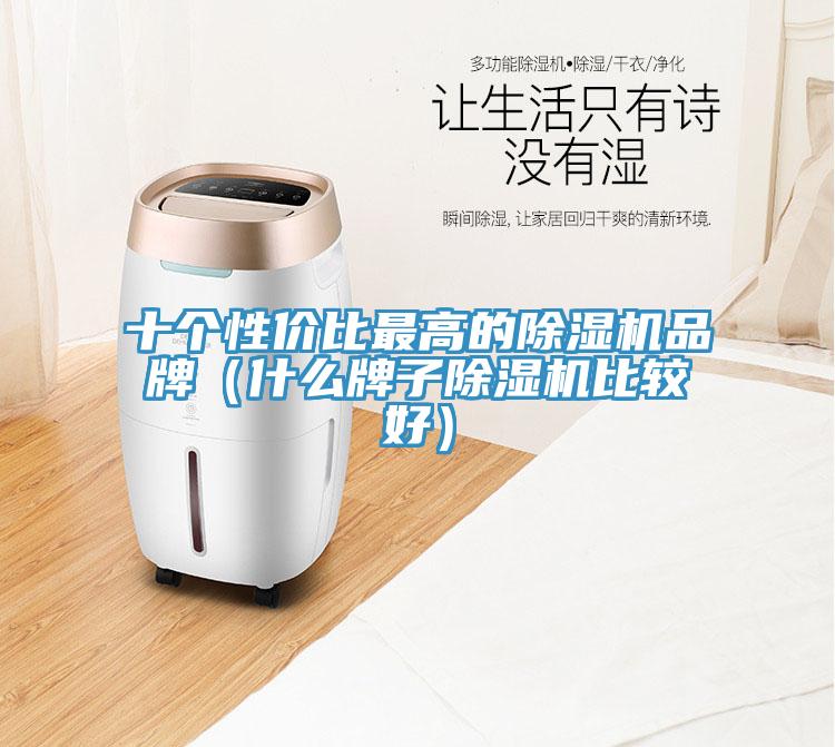十个性价比最高的猫咪成人官网品牌（什么牌子猫咪成人官网比较好）