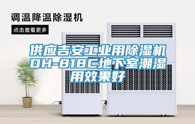 供应吉安工业用猫咪成人官网DH-818C地下室潮湿用效果好