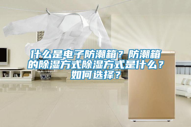 什么是电子防潮箱？防潮箱的除湿方式除湿方式是什么？如何选择？