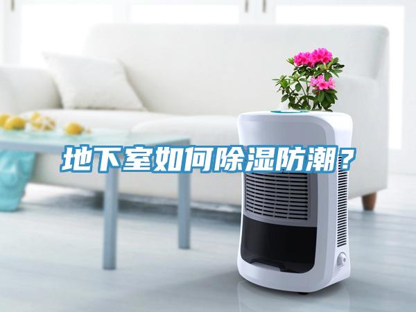 地下室如何除湿防潮？