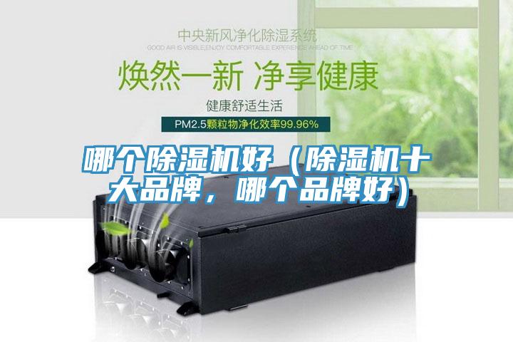 哪个猫咪成人官网好（猫咪成人官网十大品牌，哪个品牌好）