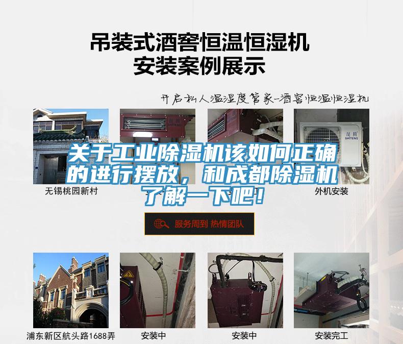 关于工业猫咪成人官网该如何正确的进行摆放，和成都猫咪成人官网了解一下吧！