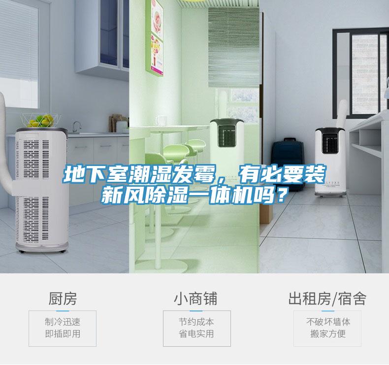 地下室潮湿发霉，有必要装新风除湿一体机吗？