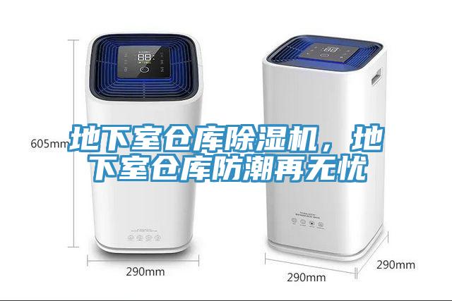 地下室仓库猫咪成人官网，地下室仓库防潮再无忧