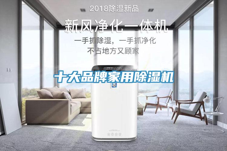十大品牌家用猫咪成人官网