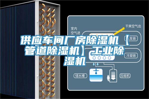 供应车间厂房猫咪成人官网【管道猫咪成人官网】工业猫咪成人官网