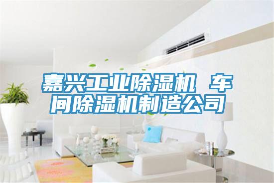 嘉兴工业猫咪成人官网 车间猫咪成人官网制造公司