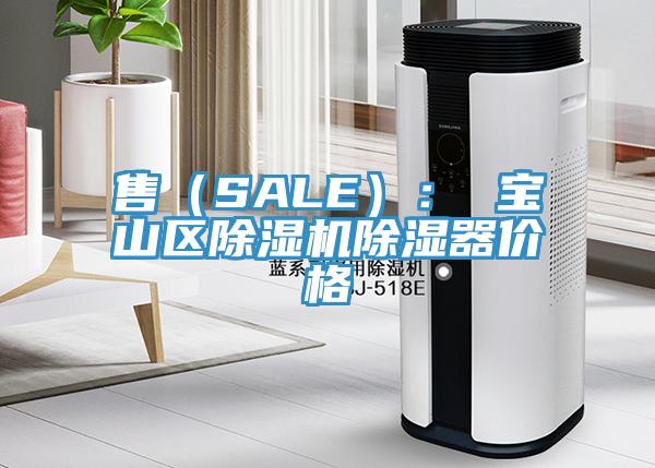 售（SALE）： 宝山区猫咪成人官网除湿器价格