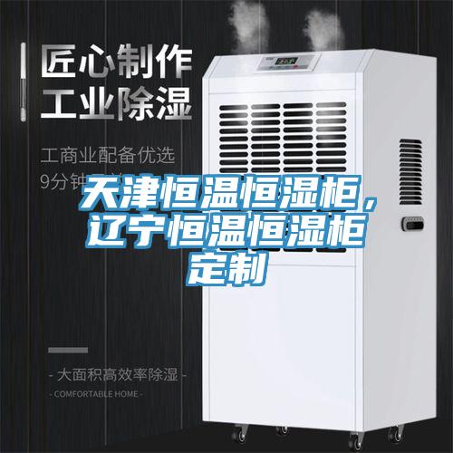 天津恒温恒湿柜，辽宁恒温恒湿柜定制
