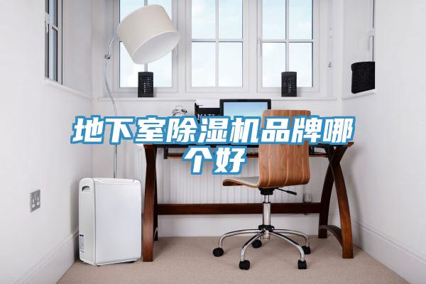 地下室猫咪成人官网品牌哪个好