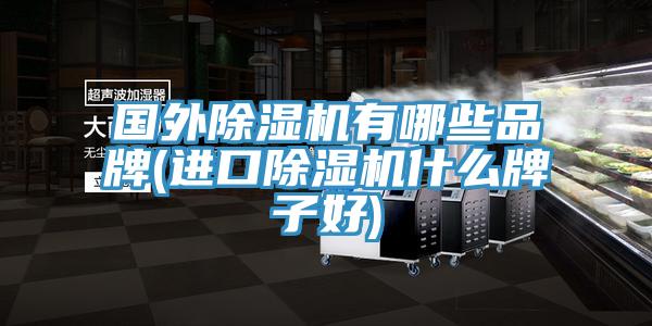 国外猫咪成人官网有哪些品牌(进口猫咪成人官网什么牌子好)