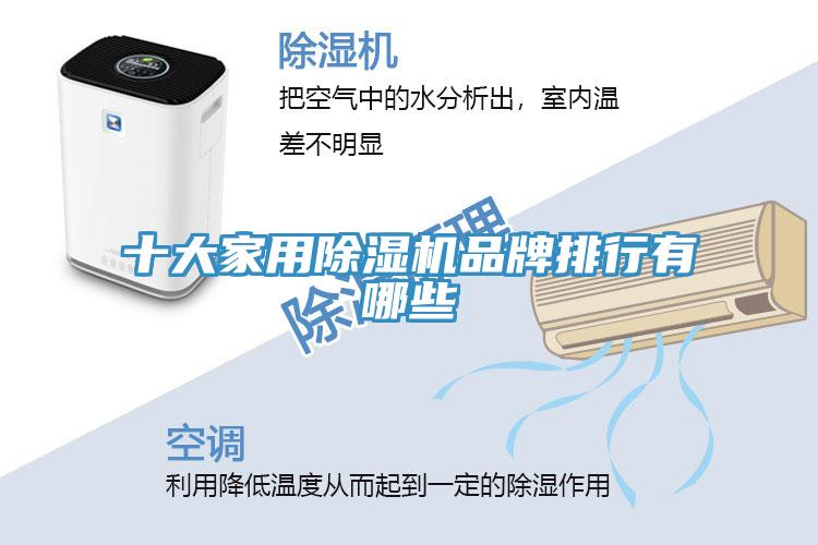 十大家用猫咪成人官网品牌排行有哪些