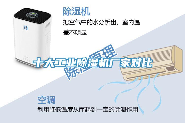 十大工业猫咪成人官网厂家对比