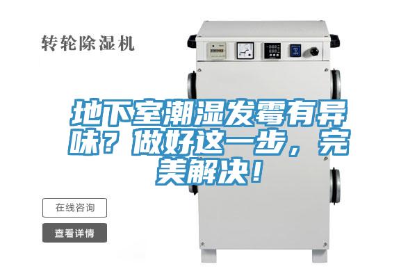 地下室潮湿发霉有异味？做好这一步，完美解决！