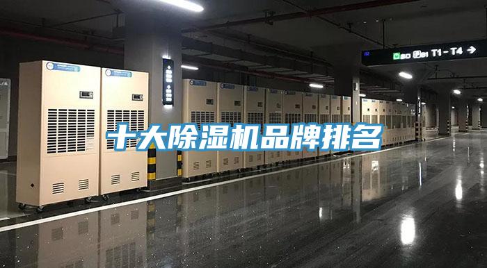十大猫咪成人官网品牌排名