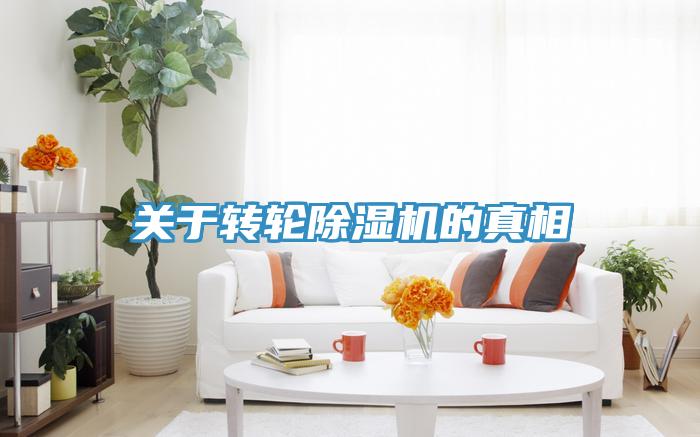 关于转轮猫咪成人官网的真相