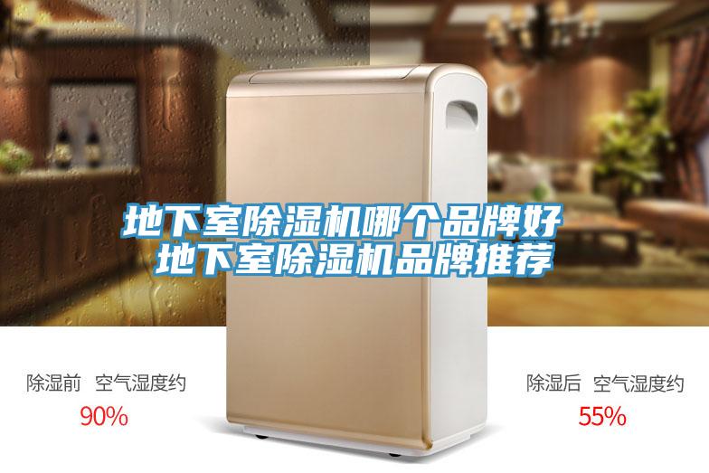 地下室猫咪成人官网哪个品牌好 地下室猫咪成人官网品牌推荐