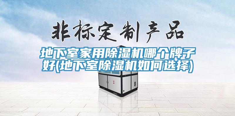 地下室家用猫咪成人官网哪个牌子好(地下室猫咪成人官网如何选择)