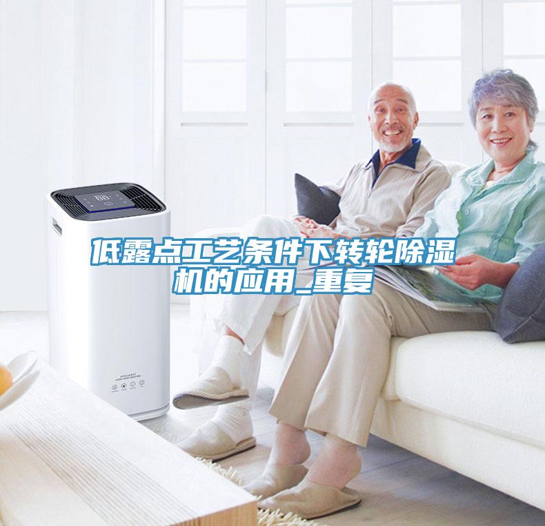 低露点工艺条件下转轮猫咪成人官网的应用_重复