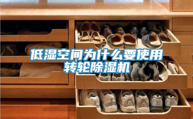 低湿空间为什么要使用转轮猫咪成人官网