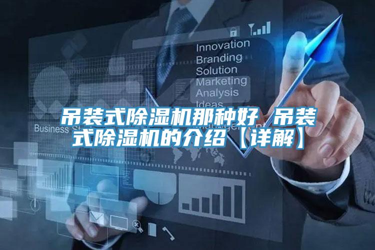 吊装式猫咪成人官网那种好 吊装式猫咪成人官网的介绍【详解】