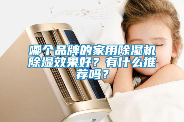 哪个品牌的家用猫咪成人官网除湿效果好？有什么推荐吗？