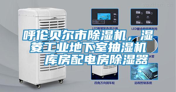 呼伦贝尔市猫咪成人官网，湿菱工业地下室抽湿机  库房配电房除湿器