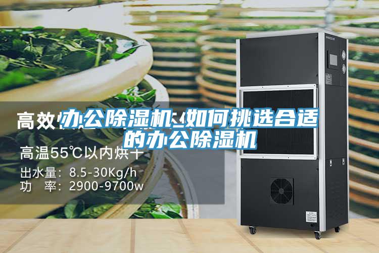 办公猫咪成人官网_如何挑选合适的办公猫咪成人官网