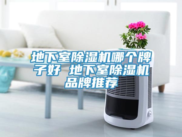 地下室猫咪成人官网哪个牌子好 地下室猫咪成人官网品牌推荐
